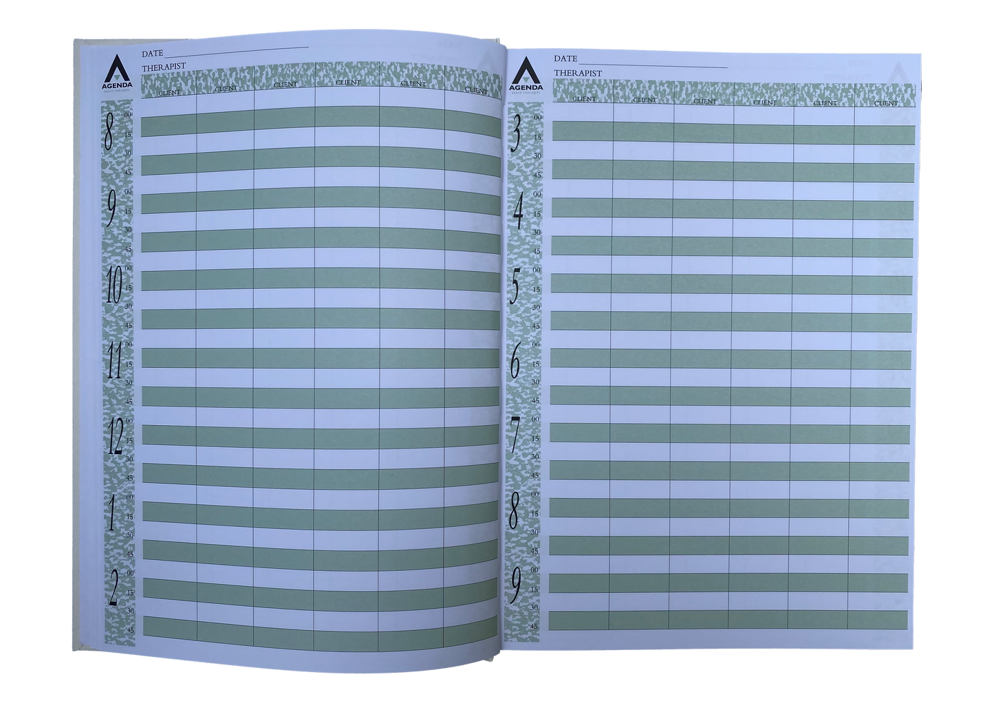 Hair Cosmetics Ltd Appointments Book 6 Column