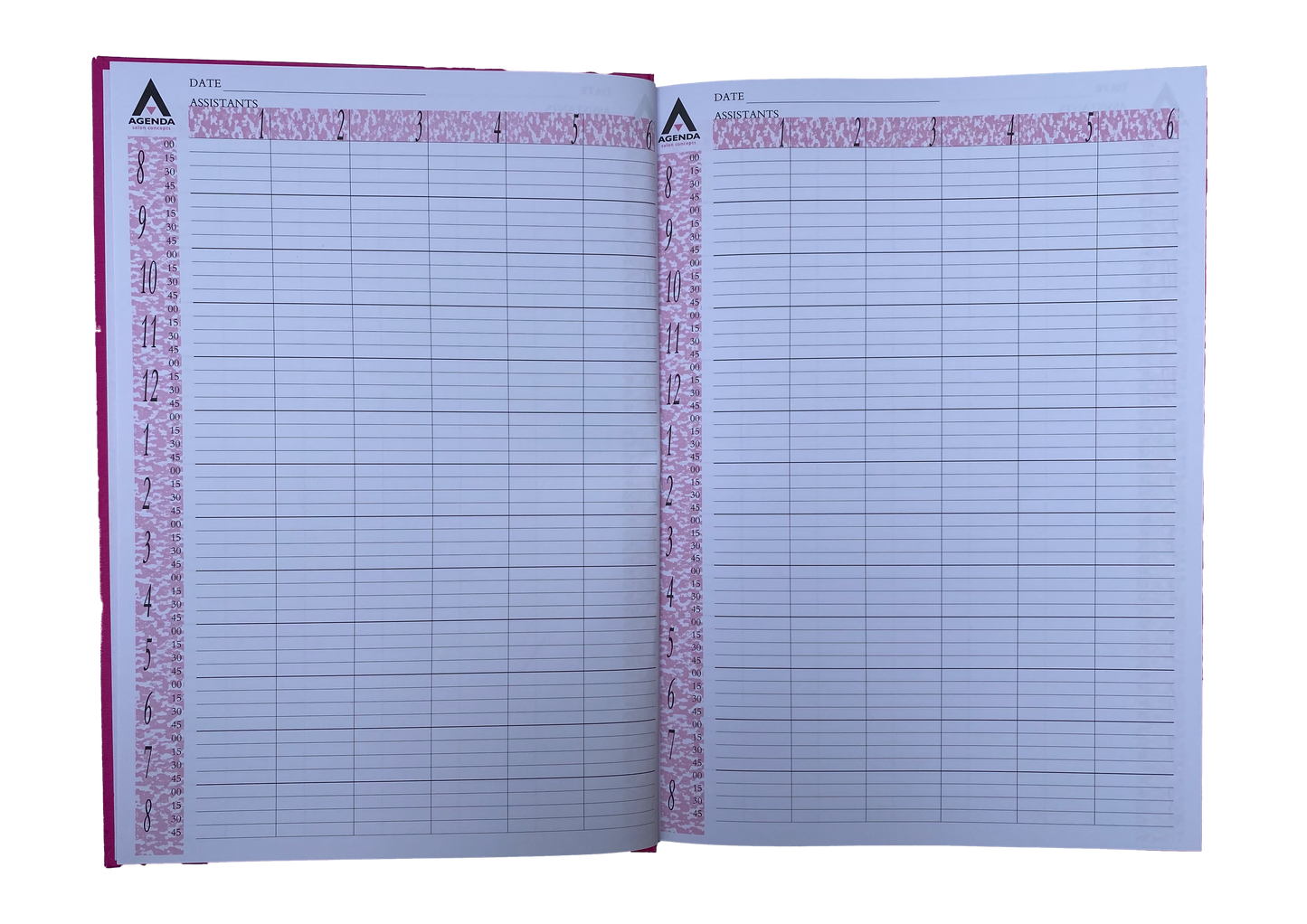 Pink Agenda appointment book 6 column