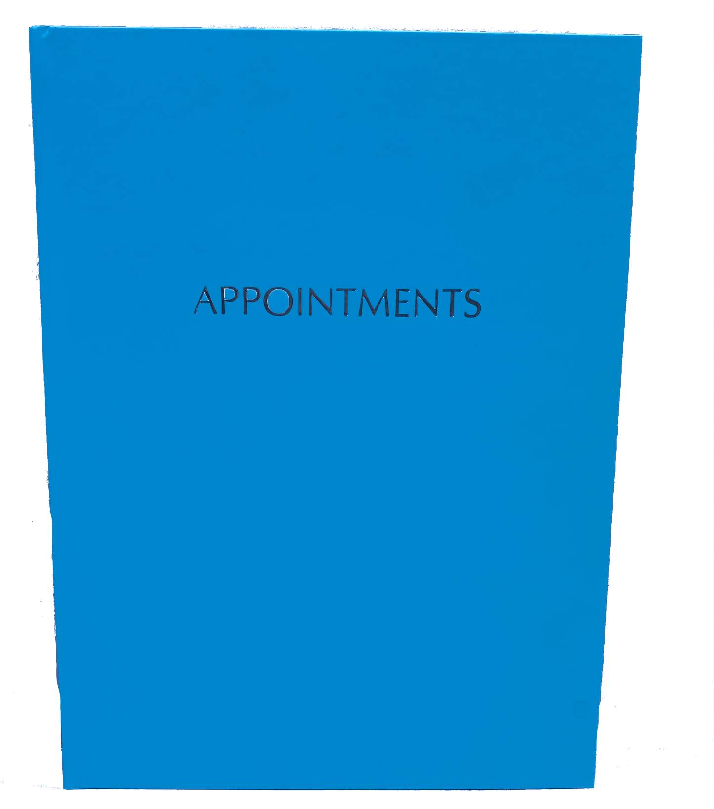 Blue Appointment Book 6 Column