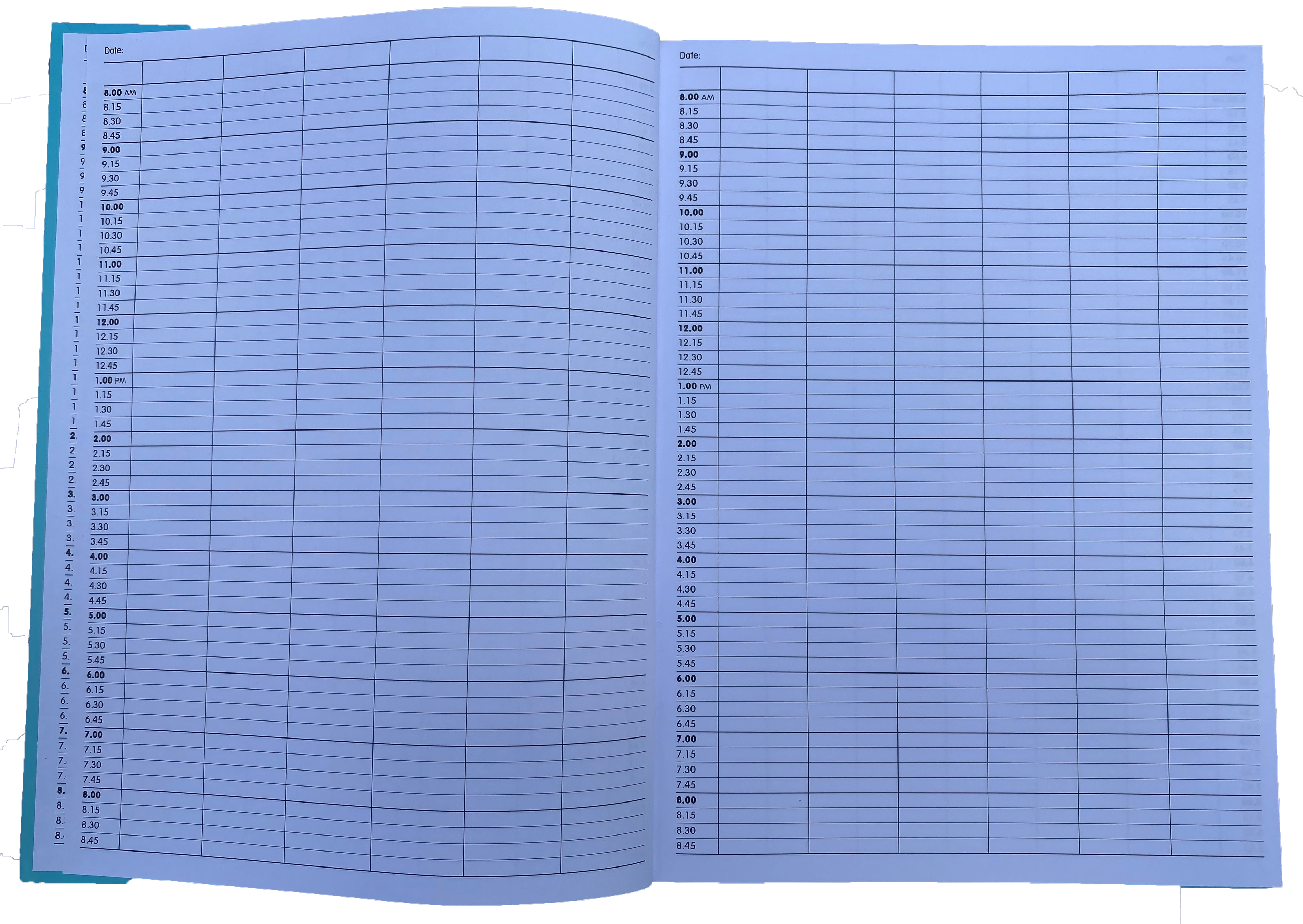 Blue Appointment Book 6 Column