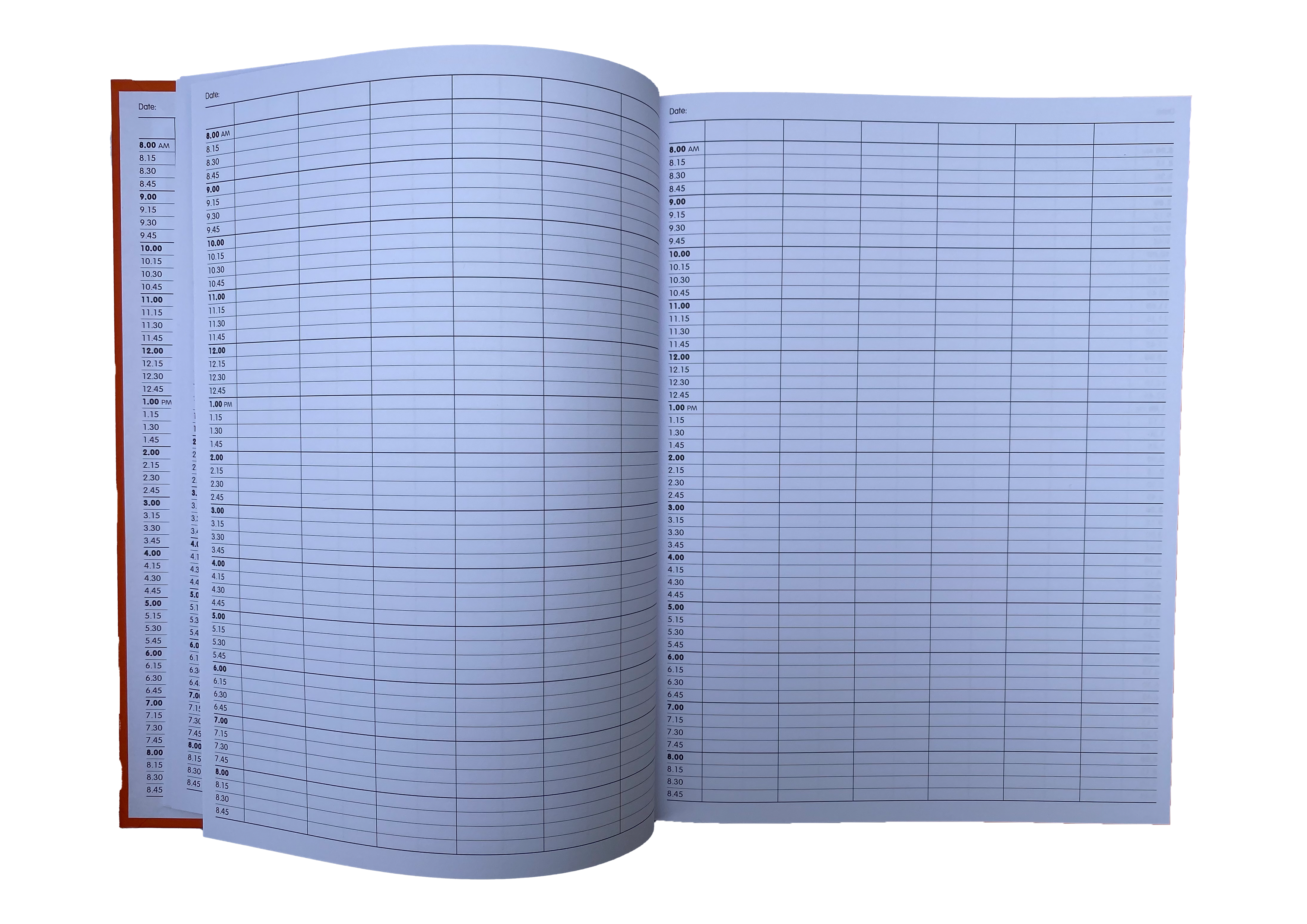 6 column by appointment book